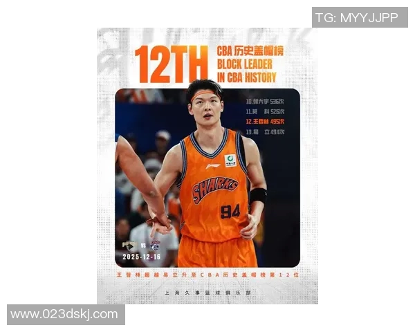 王哲林的篮球之路:从青涩新星到国家队核心的成长历程与未来展望