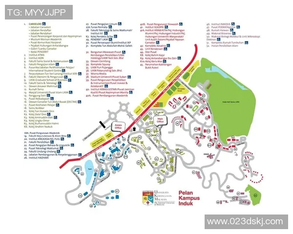 杭州排球队的节奏揭秘:深度解析排球运动的魅力与技巧MBA