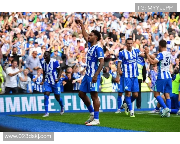 布莱顿与诺维奇对决前瞻分析及比赛结果预测