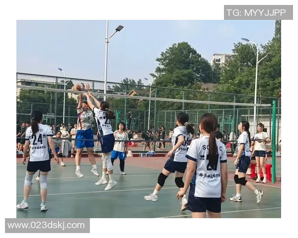 成都排球队反击体系解析:排球战术的创新与实践探索MBA